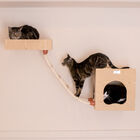 Real Wood Wall Series: Cat Soft Ladder, , alternate image number 6