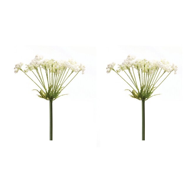 Queen Anne's Lace Stem (Set of 2) 29 inchesH Plastic, GREEN/WHITE, alternate image number null