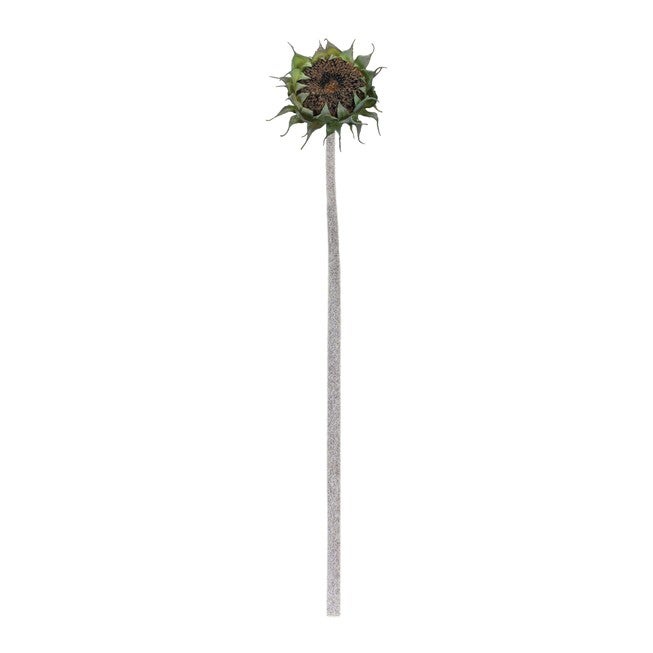 Brown Sunflower Stem (Set of 6), BLACK/GREEN, alternate image number null