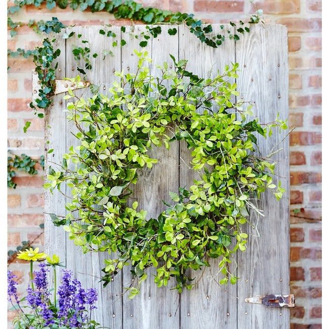 Oversized Mixed Foliage Twig Wreath 30 inchesD, , on-hover image number null
