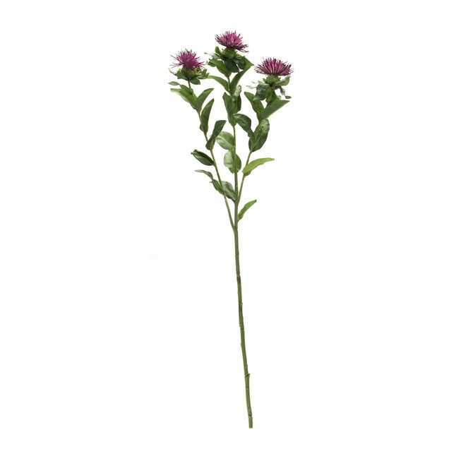 Thistle Floral Spray (Set Of 6), , alternate image number null