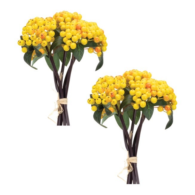 Yellow Berry Bundle (Set of 2), YELLOW GREEN, alternate image number 2