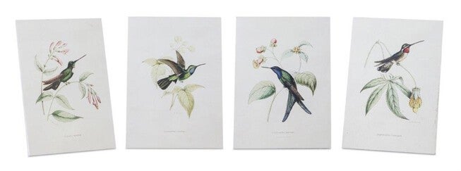 Tabletop Encyclopedia Hummingbird Print (Set of 4), WHITE/GREEN/BROWN, hi-res image number null