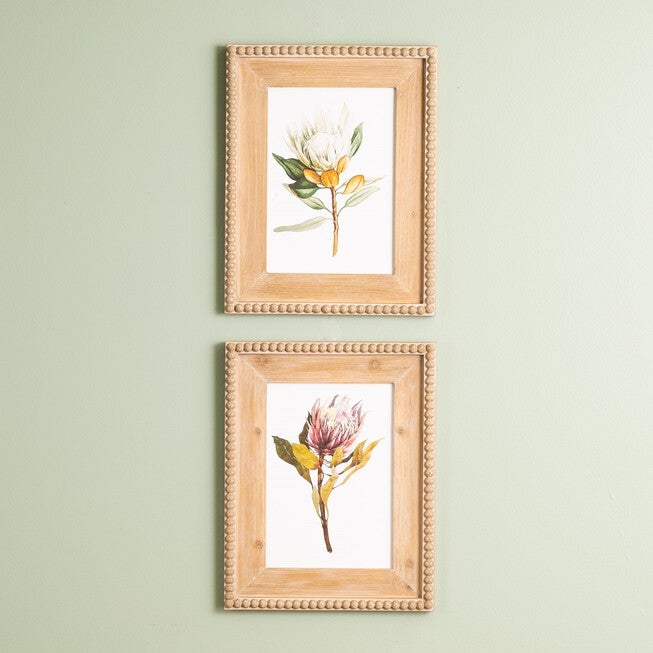 Wood Framed Protea Floral Print (Set of 2), GREEN WHITE BROWN, alternate image number null