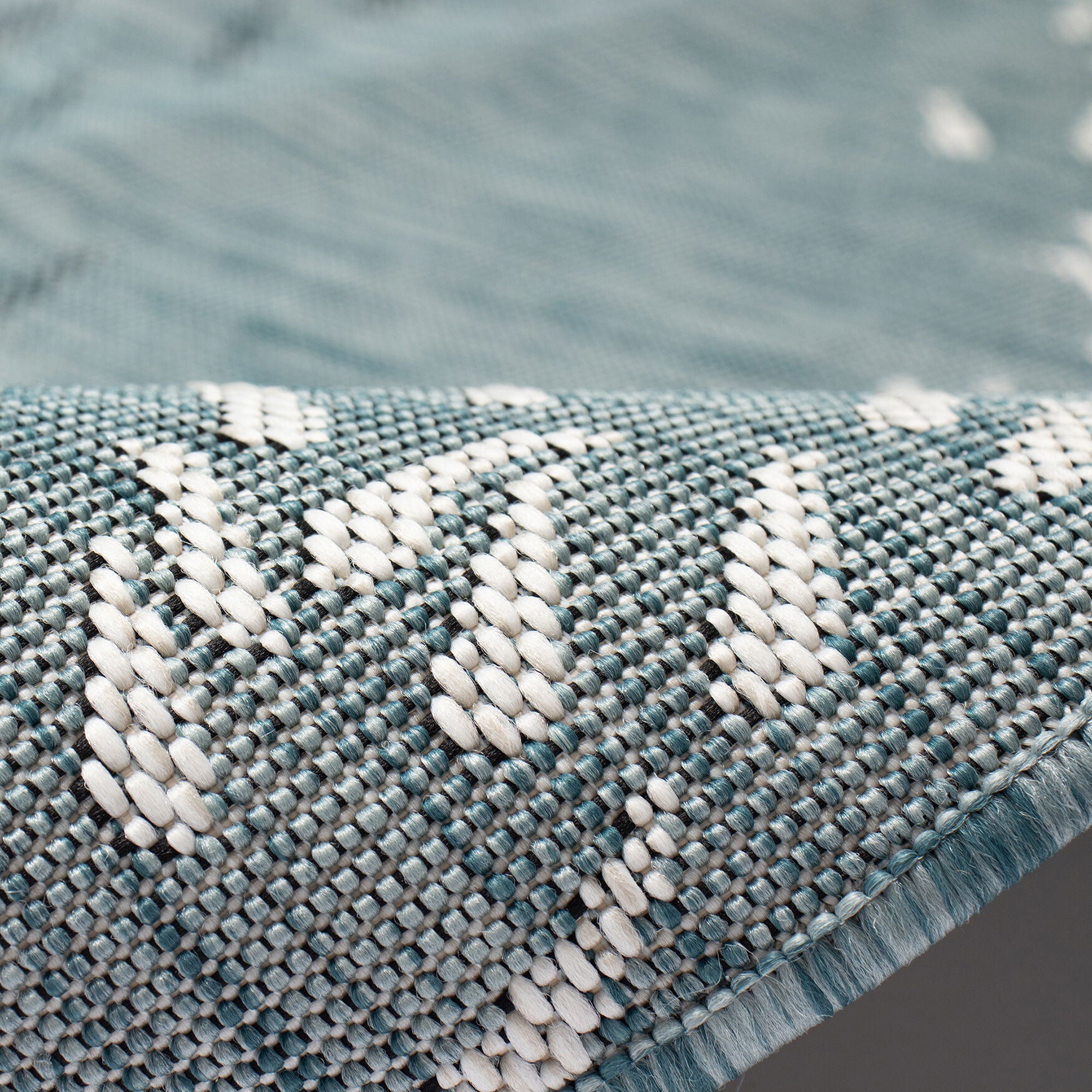 Carmel School Of Fish Indoor/Outdoor Area Rug Aqua, , alternate image number 3