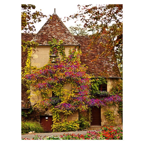 All Weather All Season Outdoor Canvas Art, MULTI, hi-res image number null