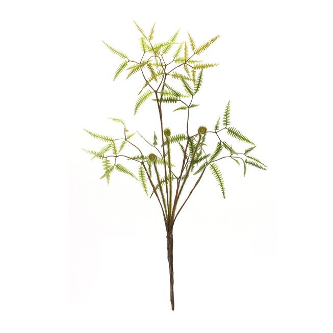 Mini Fern Bush (Set of 6) 19 inchesH Plastic, GREEN/BROWN, alternate image number 2