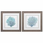 Teal Coral On White Framed Wall Décor, Set Of 2, TEAL, hi-res image number null