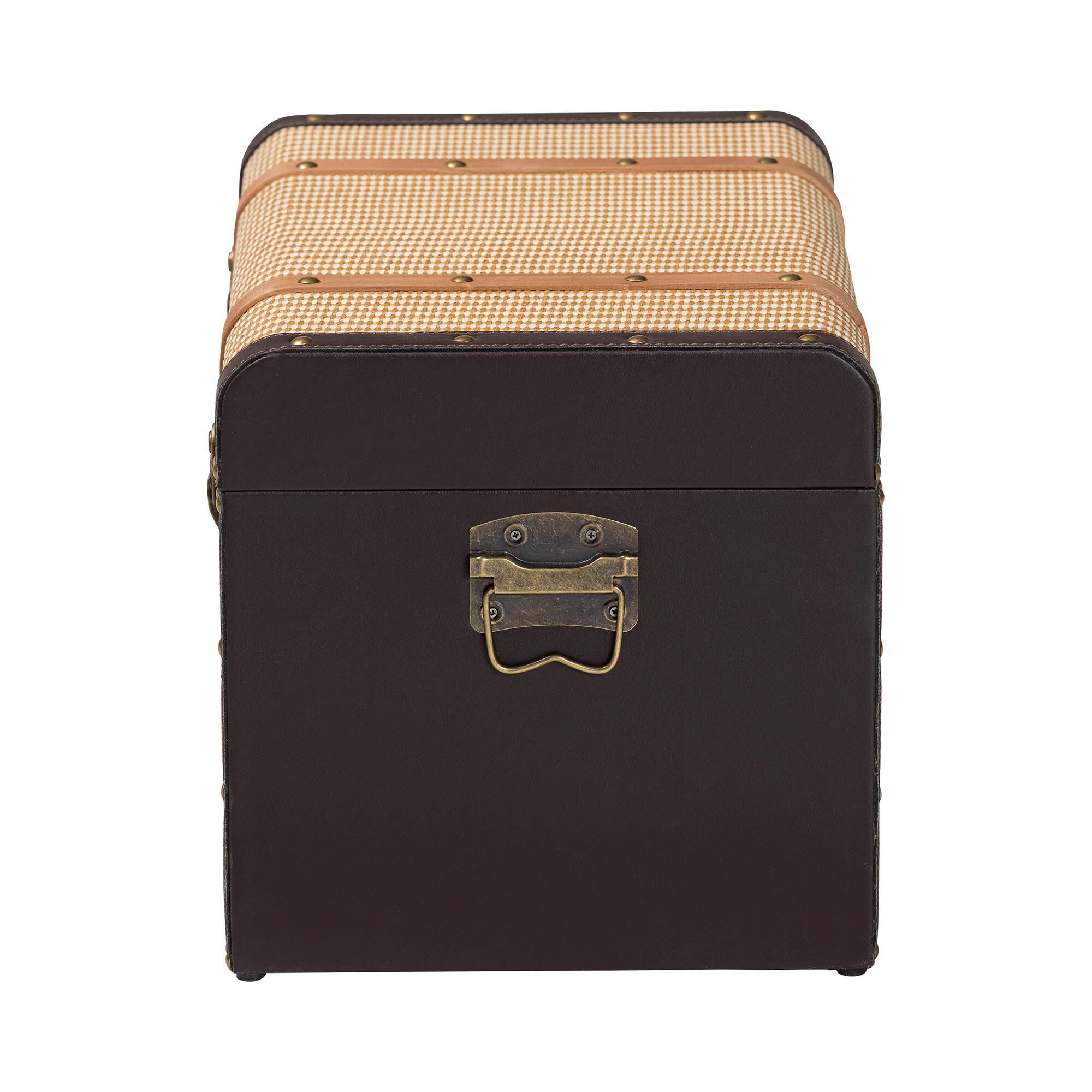 Manton Storage Trunk, BROWN, alternate image number 4