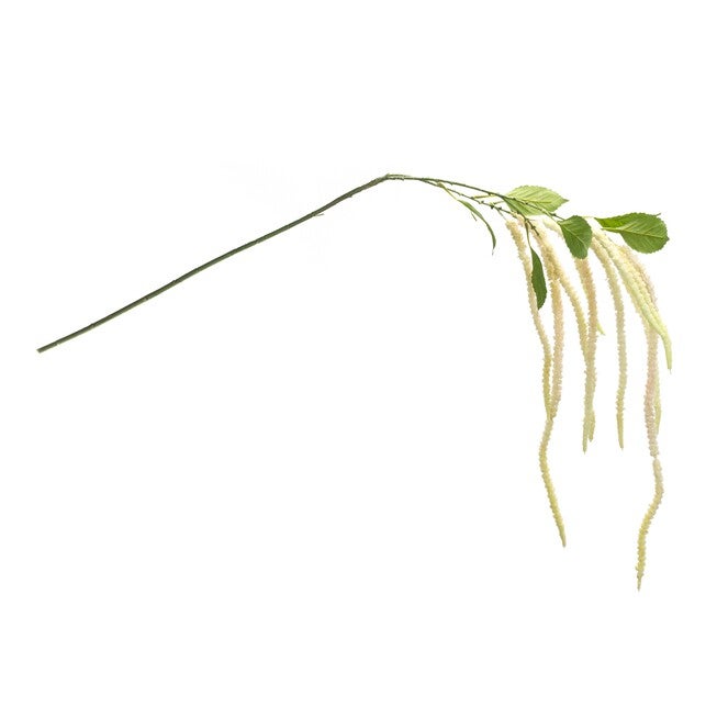 Amaranthus Stem (Set of 4) 53.25 inchesH Plastic/Polyester, GREEN/WHITE, alternate image number null