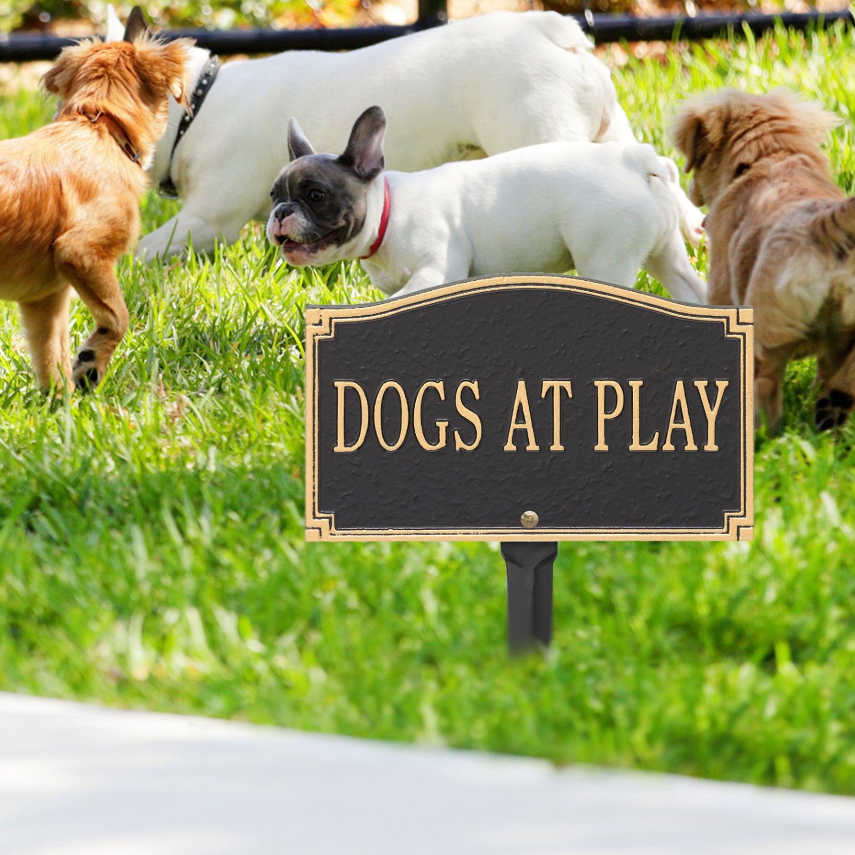 Dogs At Play Sign, , alternate image number 2
