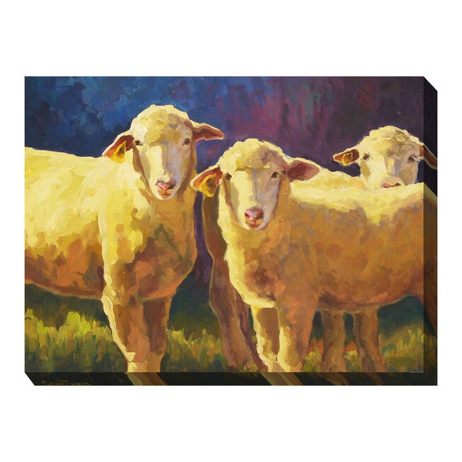 All Weather All Season Outdoor Canvas Art, MULTI, hi-res image number 0