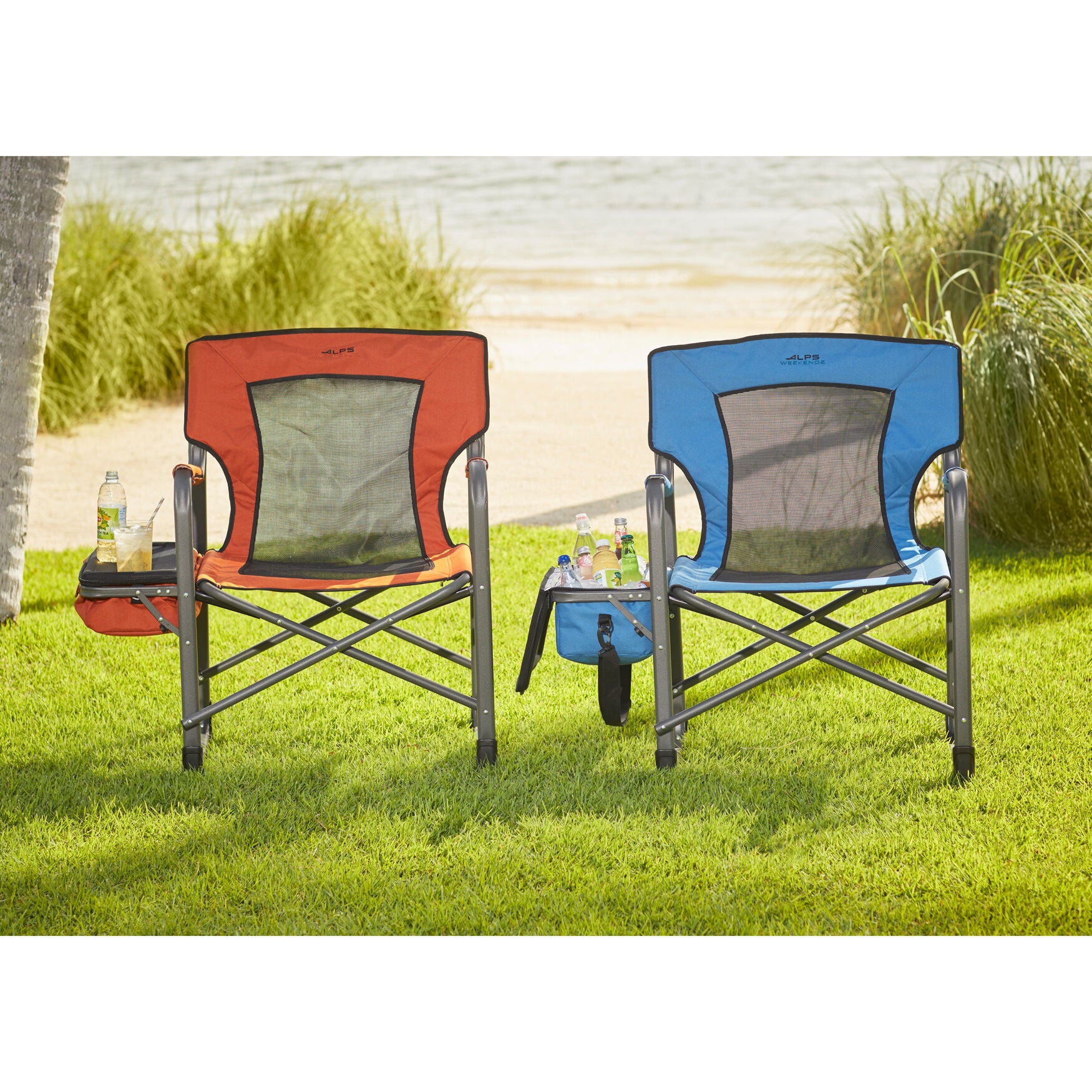 Alps roamer chair online