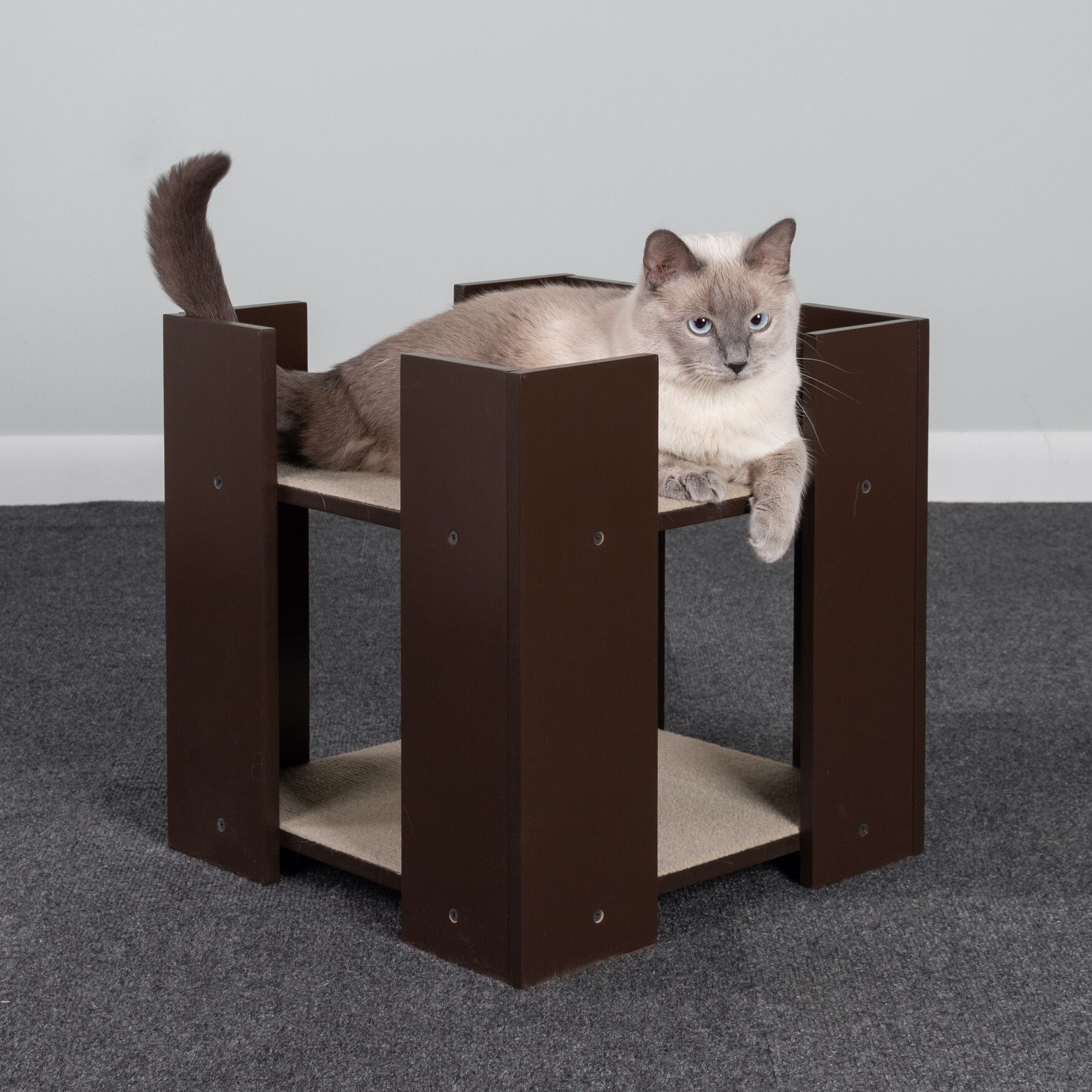 Hauspanther Cubitat Multi level Cat Bed Brylane Home