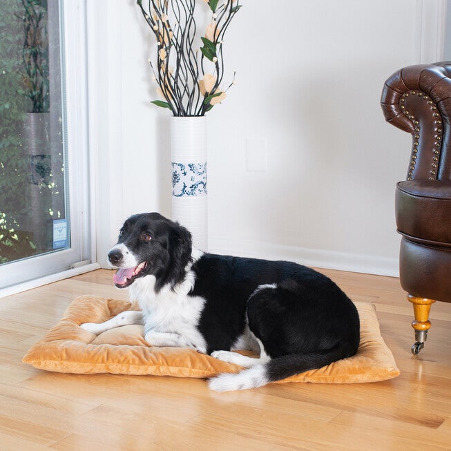Pet Bed Mat, Dog Crate Soft Pad With Poly Fill Cushion, Medium Earth Brown, , alternate image number 2