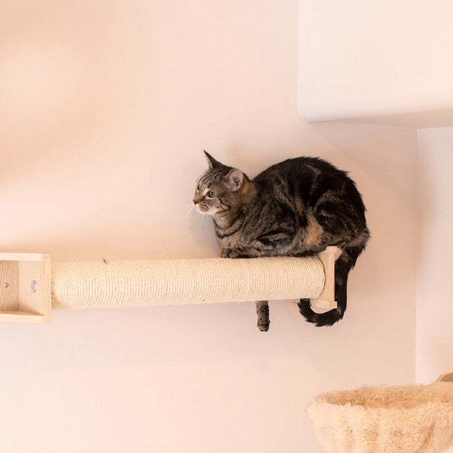 Real Wood Wall Series: Cat Scratching Post, , alternate image number 3