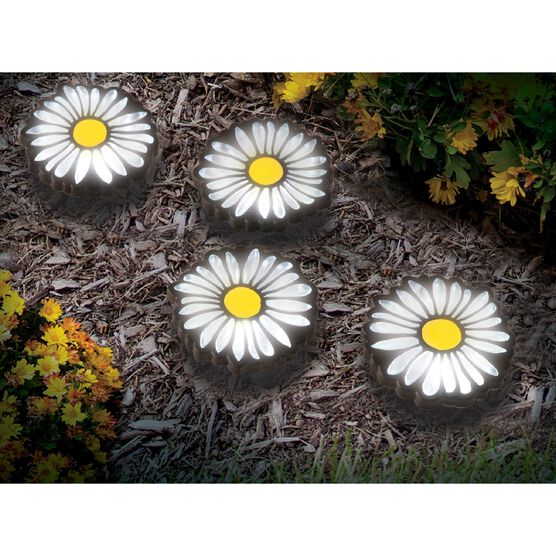 Daisy Solar Lights, O, hi-res image number null