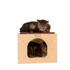 Real Wood Wall Series Cat Tree With Condo, Perch And Step Up, , alternate image number null