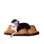 Extra Large Pet Dog Bed Mat With Poly Fill Cushion, , alternate image number 3