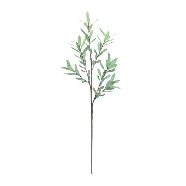 Olive Leaf Twig Branch (Set of 2), GREEN, alternate image number null