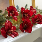 Amaryllis Clips, Set of 6, RED, hi-res image number null