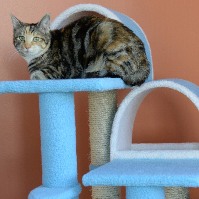 Real Wood 38 inches Cat Dog Step Stairs Ramp, Sratcher, , alternate image number null
