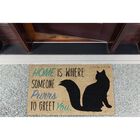 Home Cat Doormat, , alternate image number null