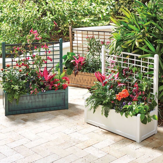 Flower Box With Trellis, Flower Box With Trellis,