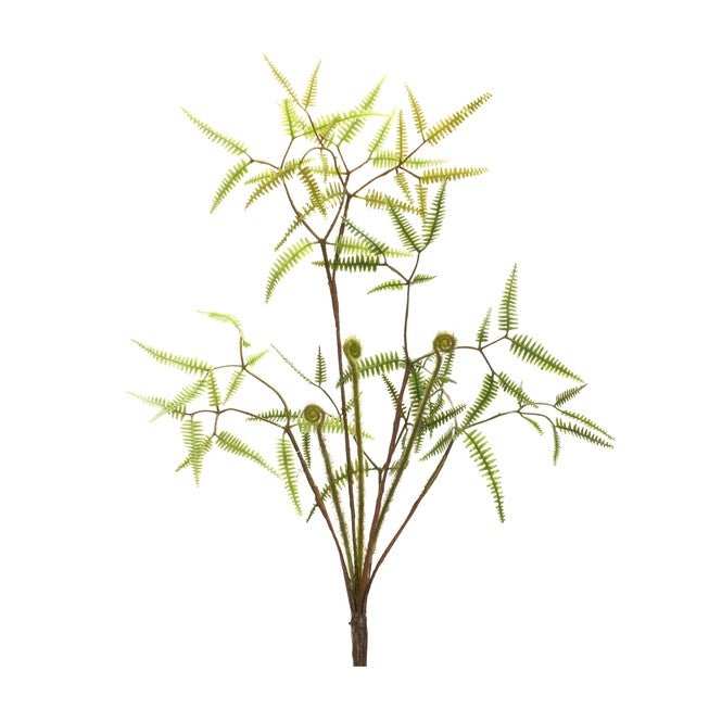 Mini Fern Bush (Set of 6) 19 inchesH Plastic, GREEN/BROWN, alternate image number 1