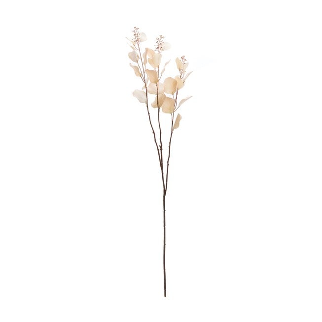 Seeded Eucalyptus Stem (Set of 6), BEIGE, alternate image number null
