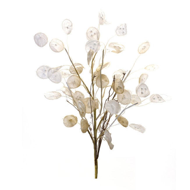 Ivory Silver Dollar Eucalyptus Spray (Set Of 2), BROWN, hi-res image number 0