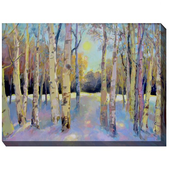 Spring Thaw Outdoor Art, MULTI, hi-res image number null