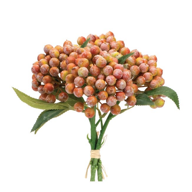 Orange Berry Bundle (Set of 2), ORANGE PINK GREEN, hi-res image number null