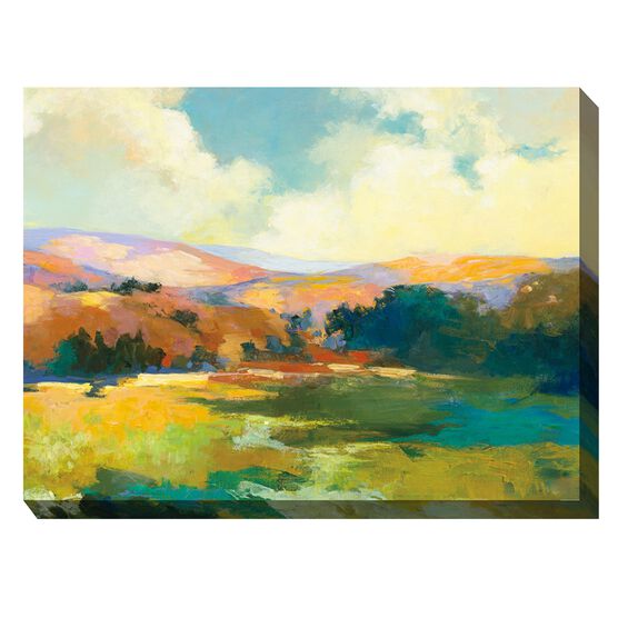 VALLEY OF LIGHT OUTDOOR ART 40X30, MULTI, hi-res image number null