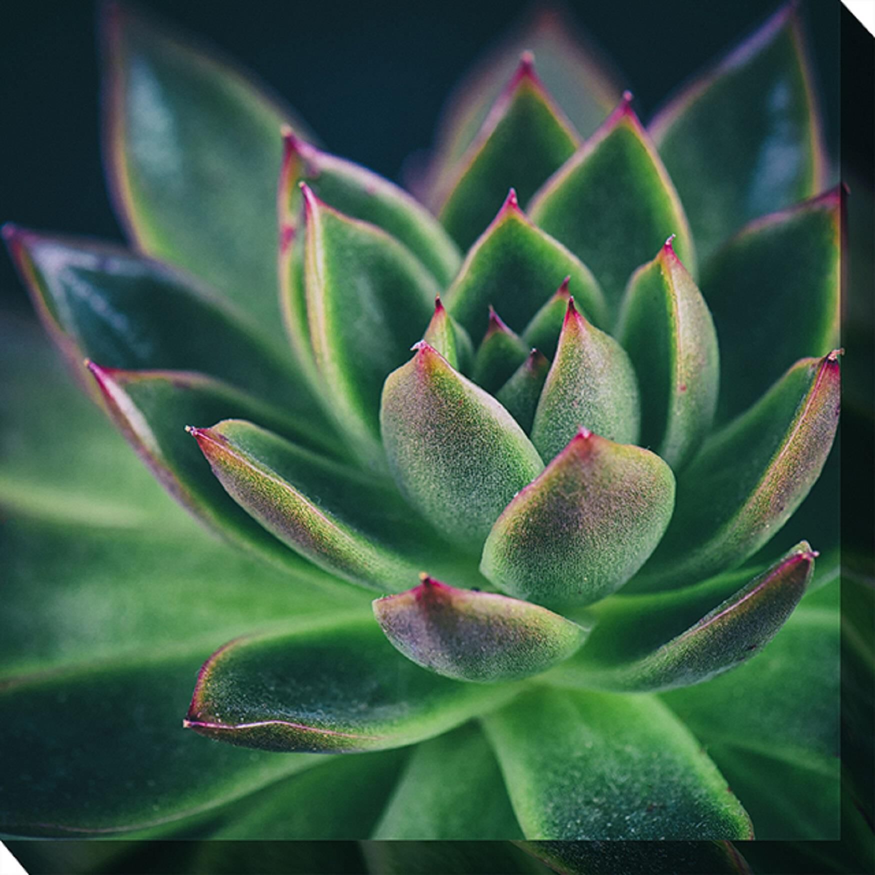 ALL AGLOW OUTDOOR ART 24X24, MULTI, hi-res image number 0