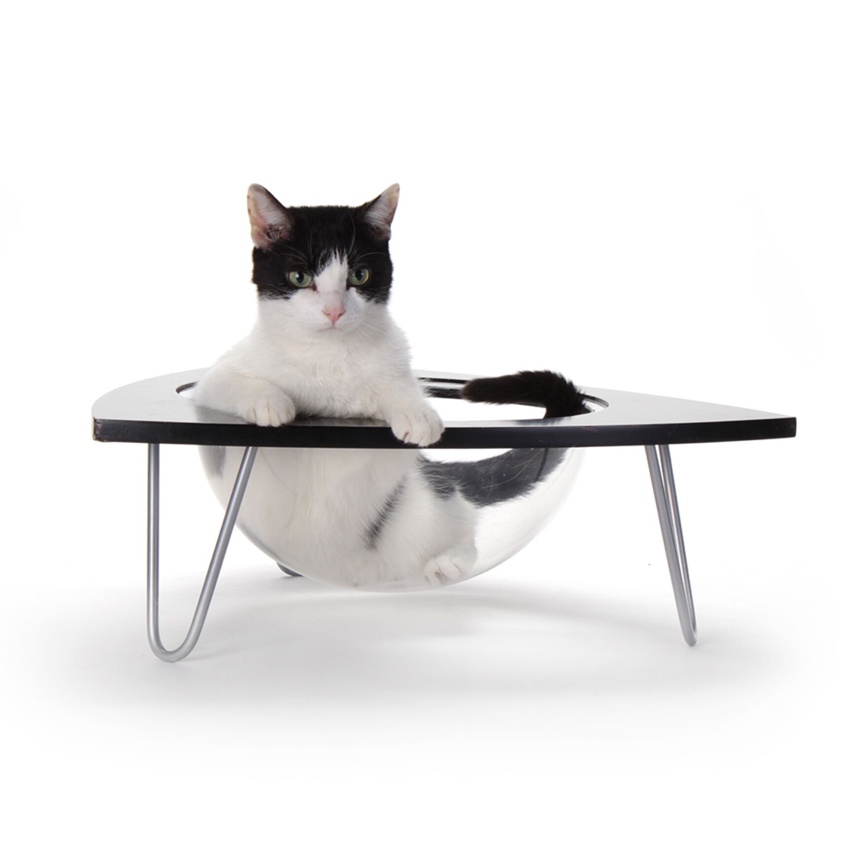Hauspanther cat furniture clearance