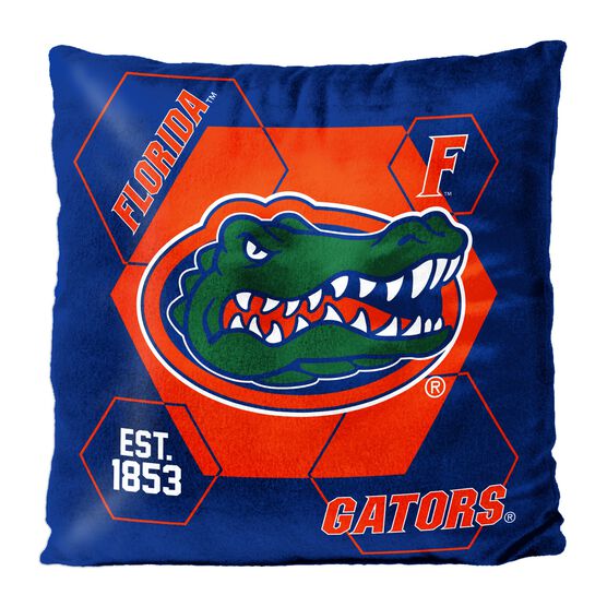 Florida Connector Velvet Reverse Pillow, MULTI, hi-res image number null