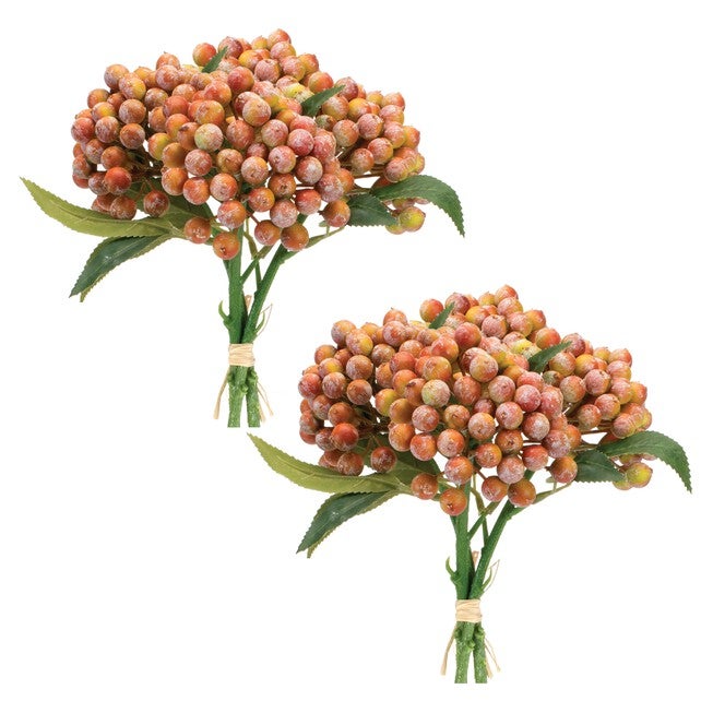Orange Berry Bundle (Set of 2), ORANGE PINK GREEN, alternate image number null