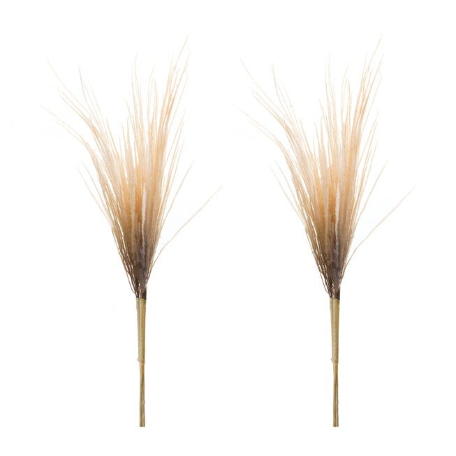 Plume Bundle (Set of 2) 41 inchesH Polyester, BROWN, alternate image number null