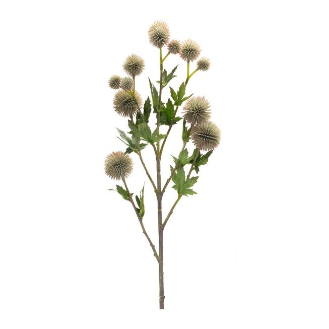 Allium Spray (Set of 6) 26 inchesH Plastic/Polyester, GREEN/BROWN, alternate image number null