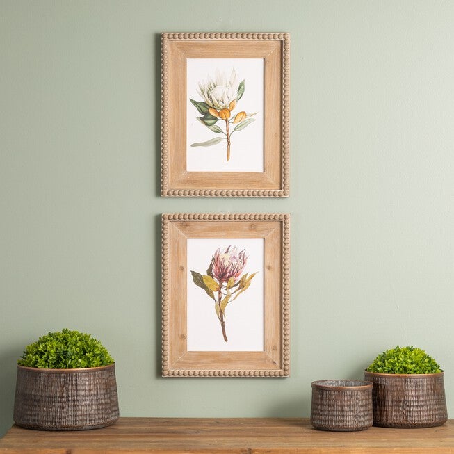 Wood Framed Protea Floral Print (Set of 2), GREEN WHITE BROWN, alternate image number null