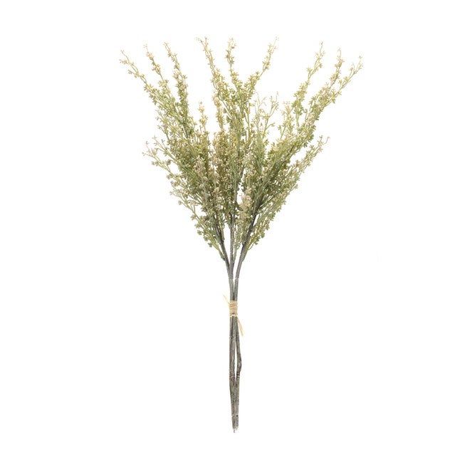 Mini Seed Pod Bundle (Set of 2) 24 inchesH Plastic, GREEN, alternate image number null