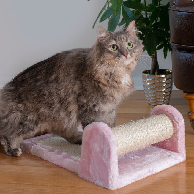 Real Wood Rolling Cat Scratcher Toy, Sisal Scratching Board, , on-hover image number null