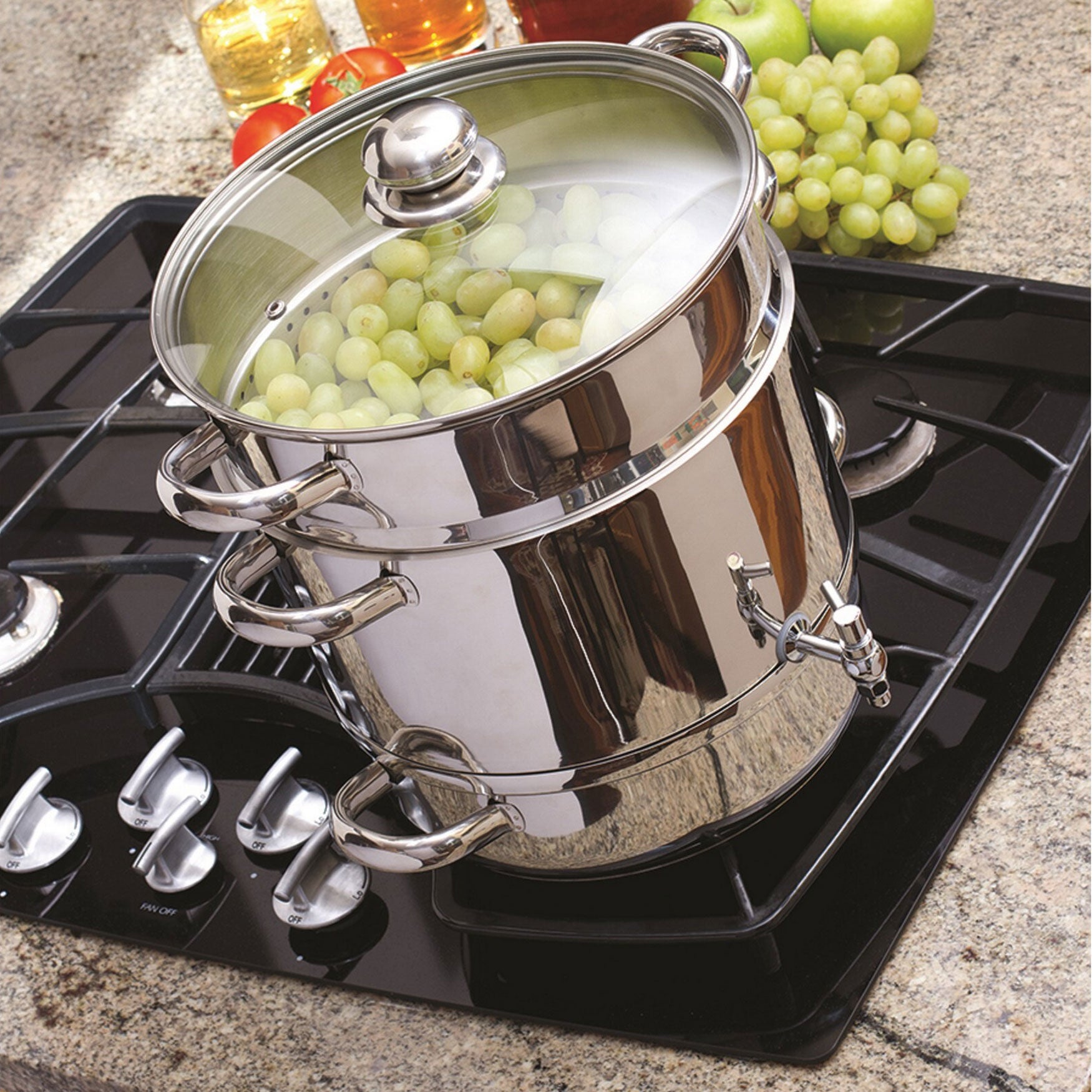 Euro Cuisine Stove Top Steam Juicer