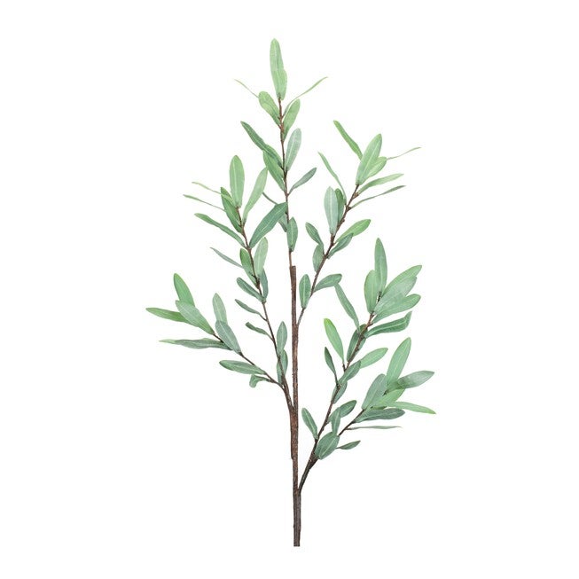 Olive Leaf Twig Branch (Set of 2), GREEN, hi-res image number null