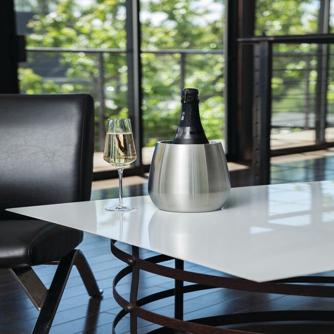 Stainless Steel Bottle Chiller, , on-hover image number null