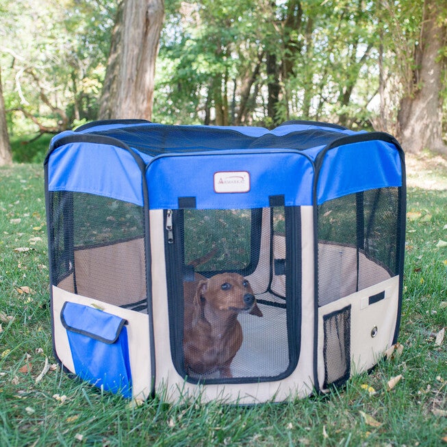 Portable Pet Dog Kitten Playpen In Blue And Beige Combo, , alternate image number null