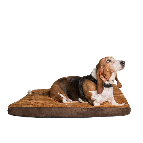 Memory Foam Orthopedic Dog Bed Mat, Mocha/Brown, Medium, , on-hover image number null