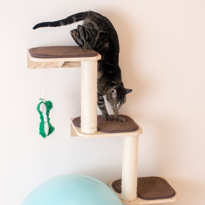Real Wood Wall Series: Cat Dog Pet Steps, , alternate image number 3