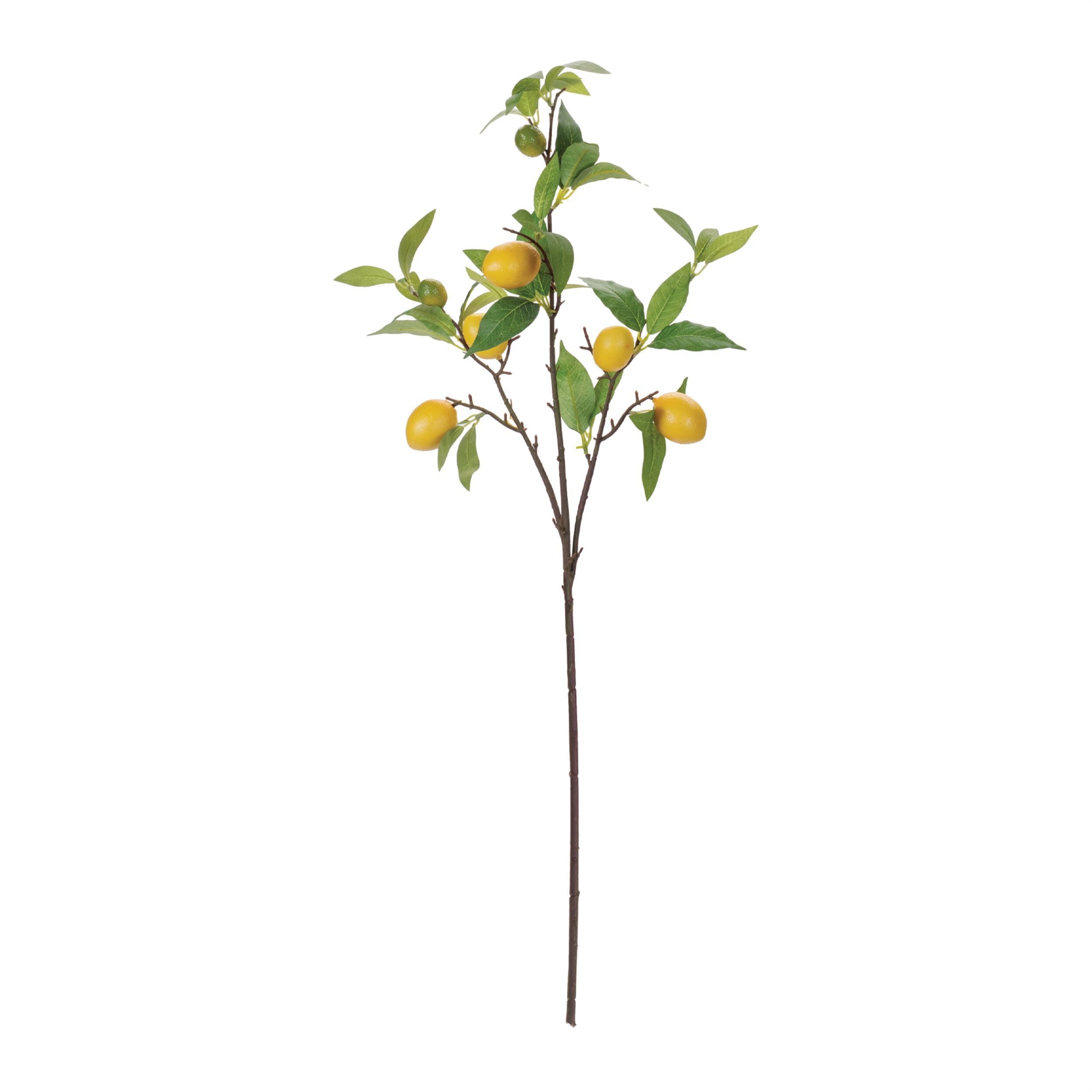 Lemon Fruit Foliage Branch Set of 6, YELLOW GREEN, alternate image number 2
